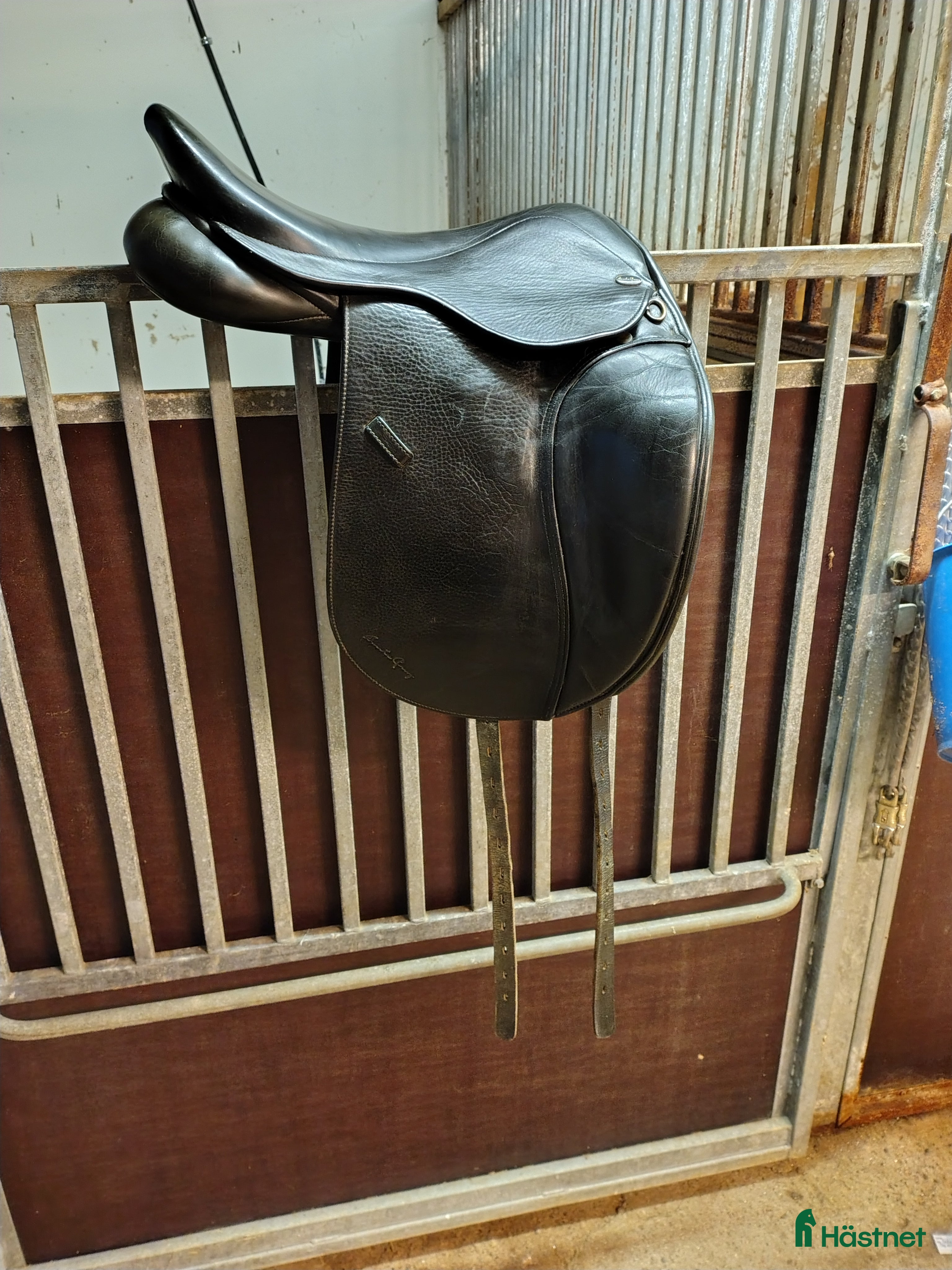 Sadlar hästutrustning till salu: Svart allroundsadel av Santa Cruz  i Gamleby - Annons 22