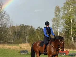 hästar Modig valack till uteritter och sällskap i Visby - Annons 7