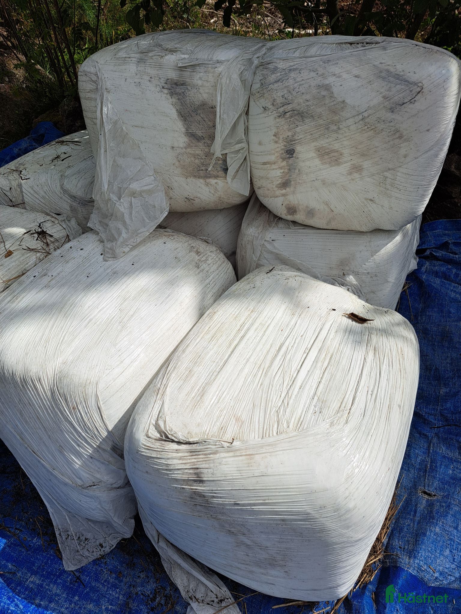  hästservice Hösilage 2025 - Annons 1