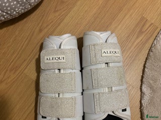 Benskydd hästutrustning till salu: Fina dressyr skydd i Nossebro - Annons 24