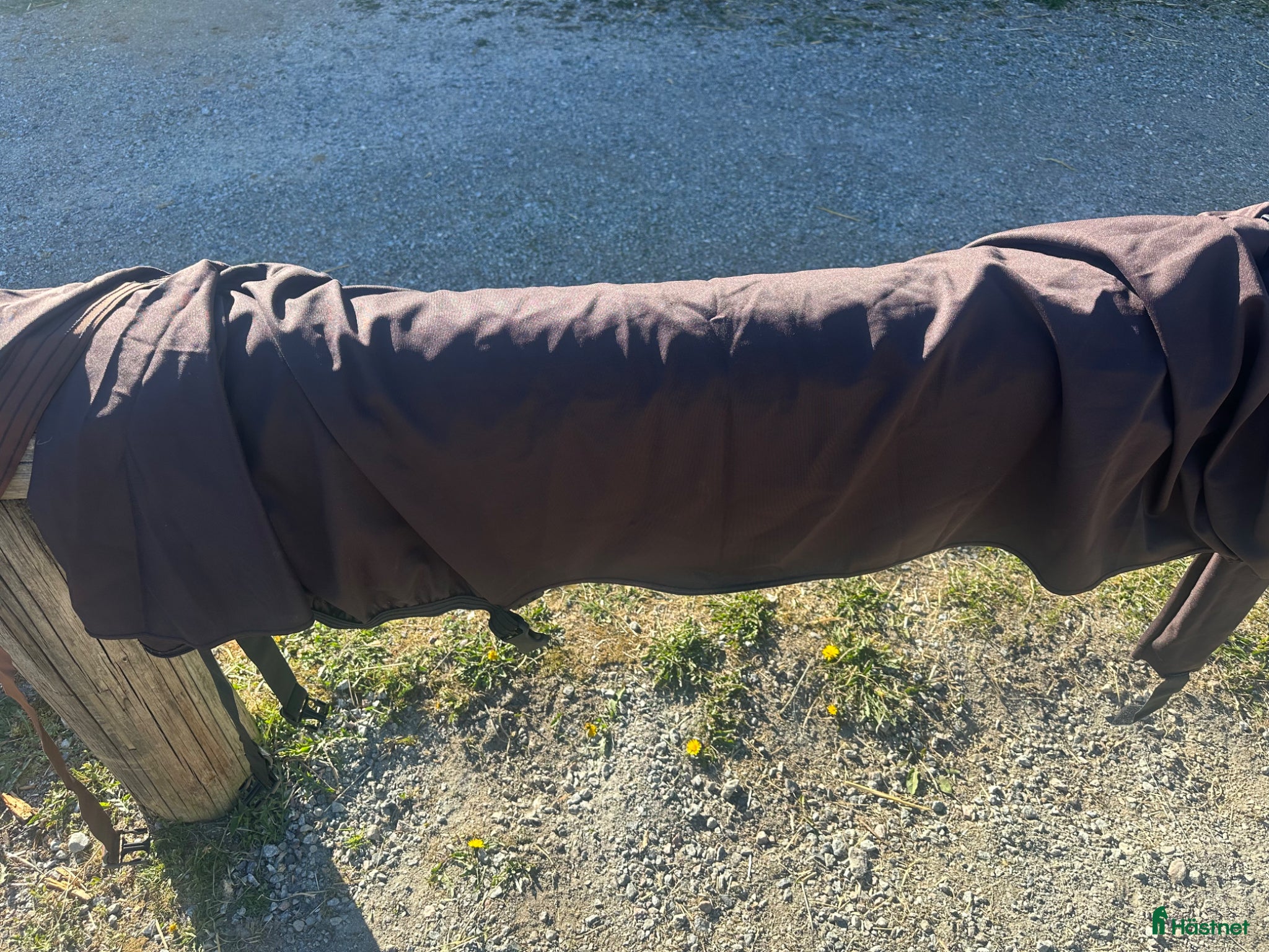 Täcken hästutrustning Boett 4 och 5 samt en magdel - Annons 8