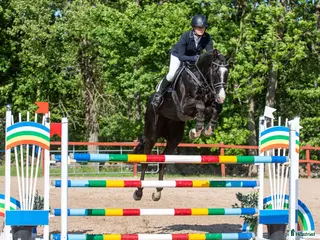 hästar Läromästare - Annons 1