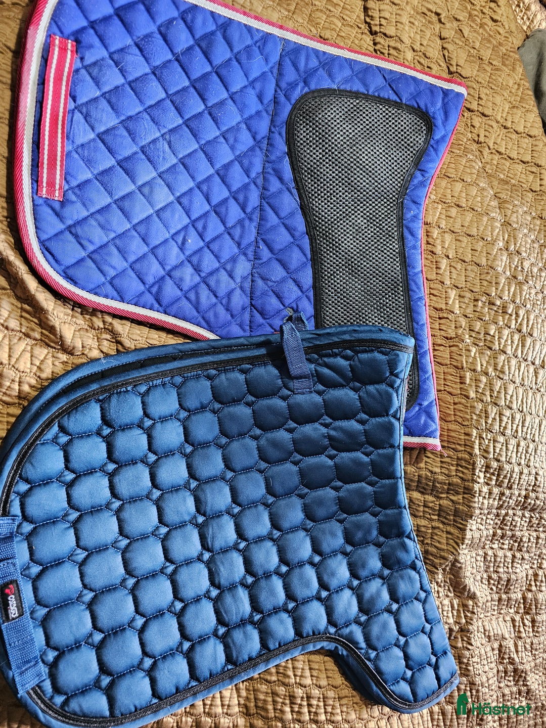 Schabrak & Vojlockar hästutrustning till salu: Catago vojlock i Söråker - Annons 6