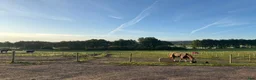  stallplats finnes: Ledig stallplats i Stannum, Gråbo - Annons 1
