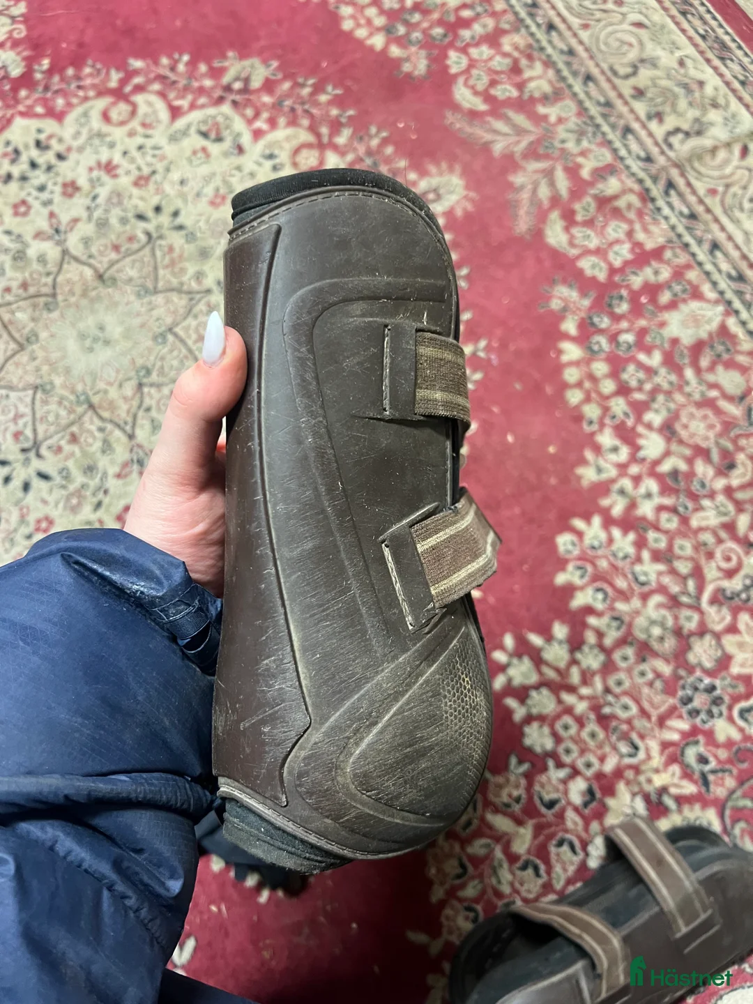 Benskydd hästutrustning till salu: Lamicell benskydd - Annons 5