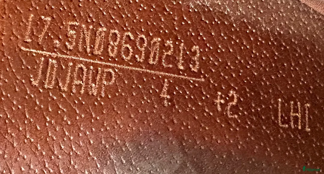Sadlar hästutrustning till salu: Amerigo Pinerolo 17,5" - Annons 6