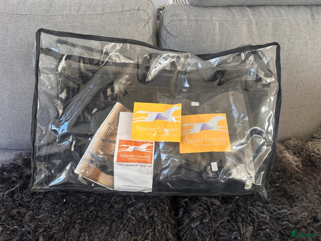 Övrig Hästutrustning hästutrustning till salu: Equiband PRO SYSTEM - Annons 3