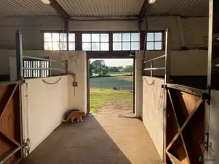 stallplats Box, bete, sällskap - Annons 3