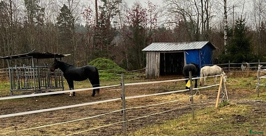  stallplats finnes: Stallplatser 3 st  - Annons 1
