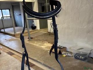 Träns hästutrustning Fint micklem - Annons 8