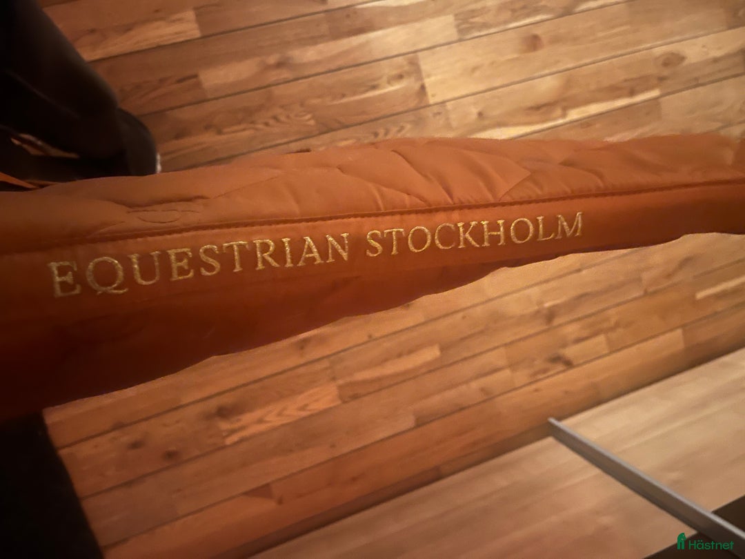 Schabrak & Vojlockar hästutrustning till salu: Equestrian Stockholm schabrak  i Klågerup - Annons 3