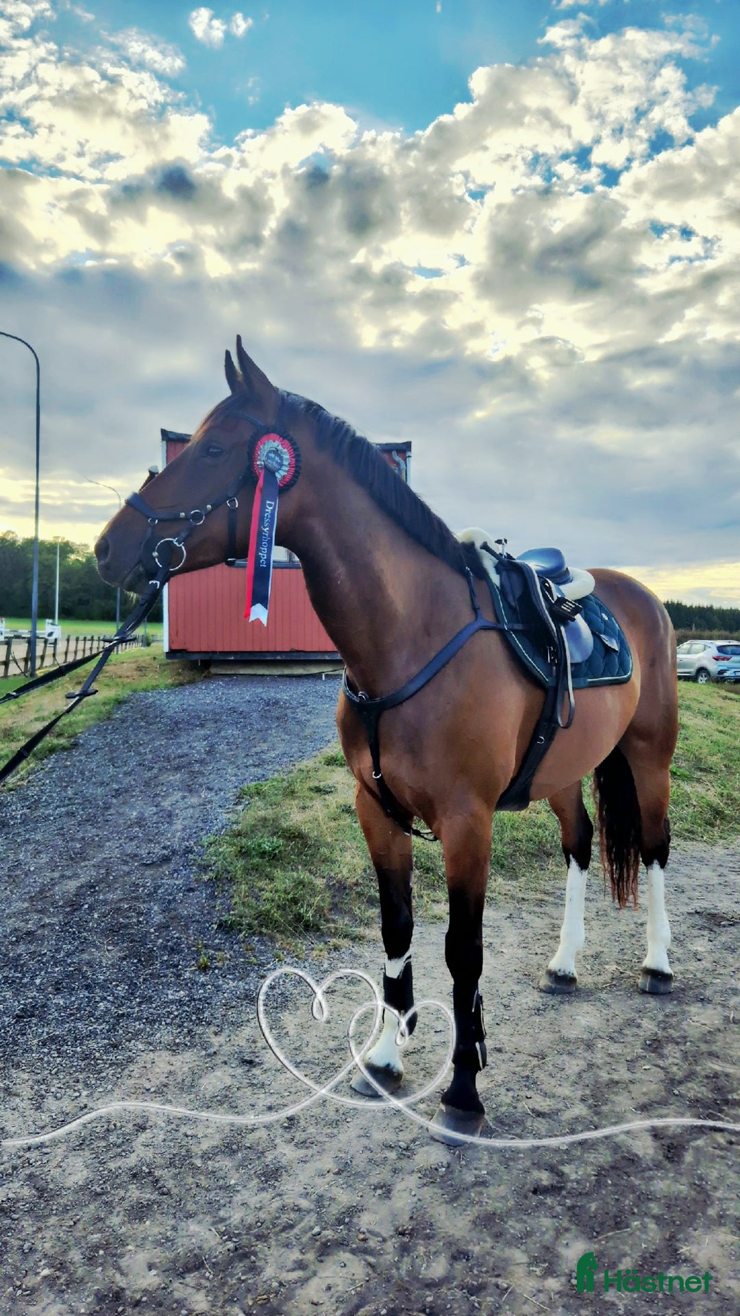 Galleribild {{count}}