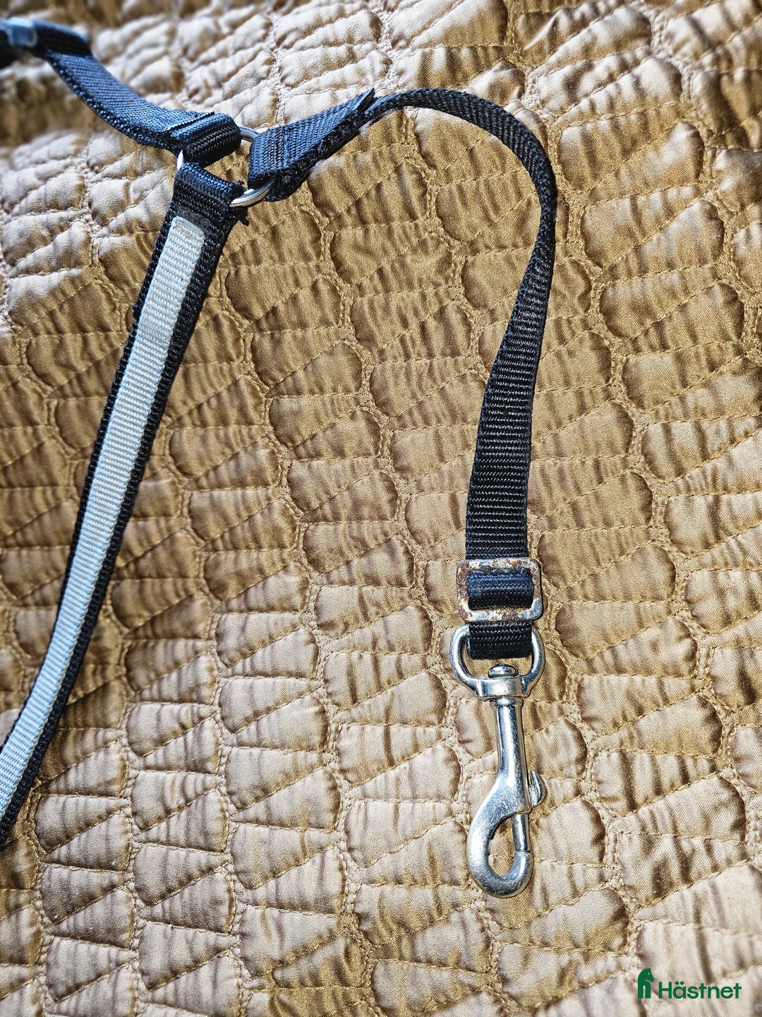 Sadeltillbehör hästutrustning till salu: Förbygel i nylon i Söråker - Annons 3