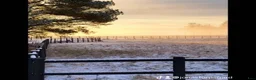 Dressyr hästar sökes: Häst sökes till långsiktigt hem 🐴 - Annons 6