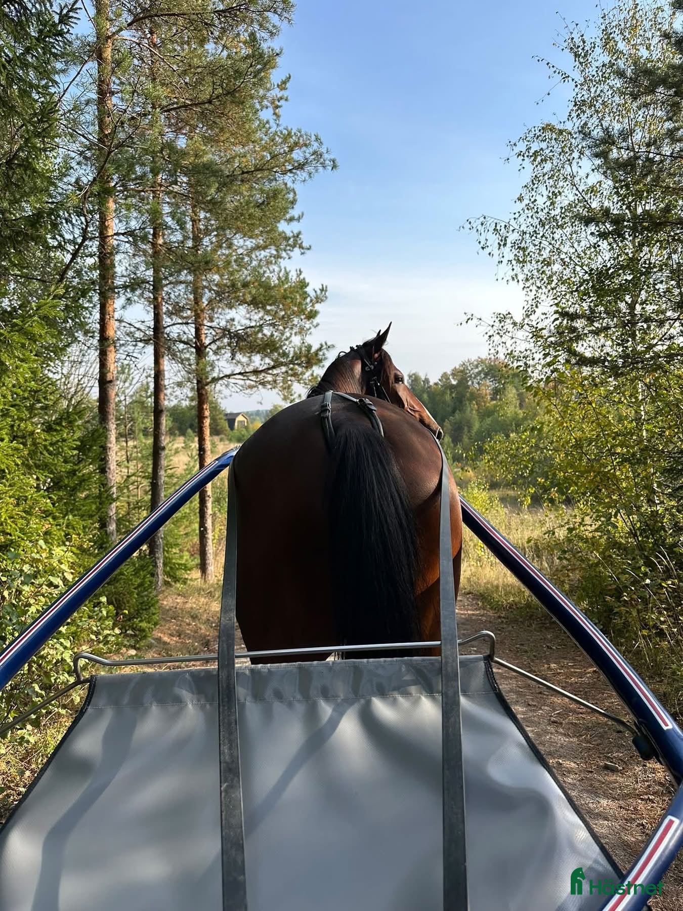  hästjobb Helgpersonal sökes till travstall - Annons 1