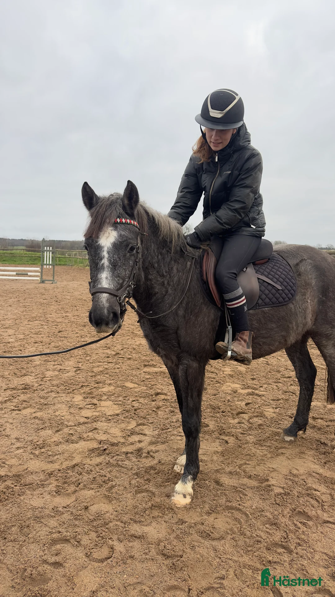 Hoppning hästar till salu: Framtida tävlingsponny🤩 i Kågeröd - Annons 2