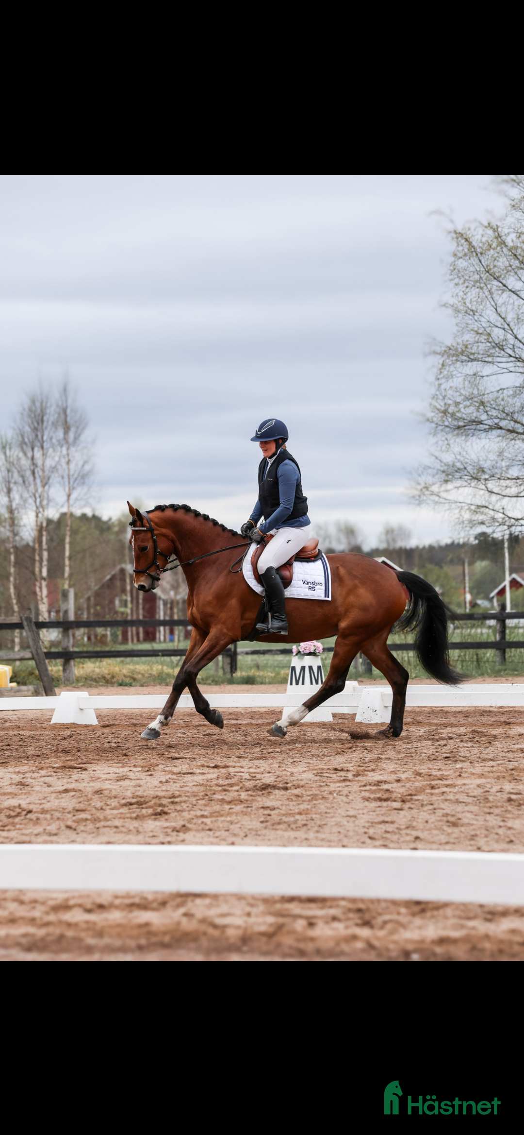 Hoppning hästar till salu: Positiv och uttrycksfull tjej i Dala-järna - Annons 2