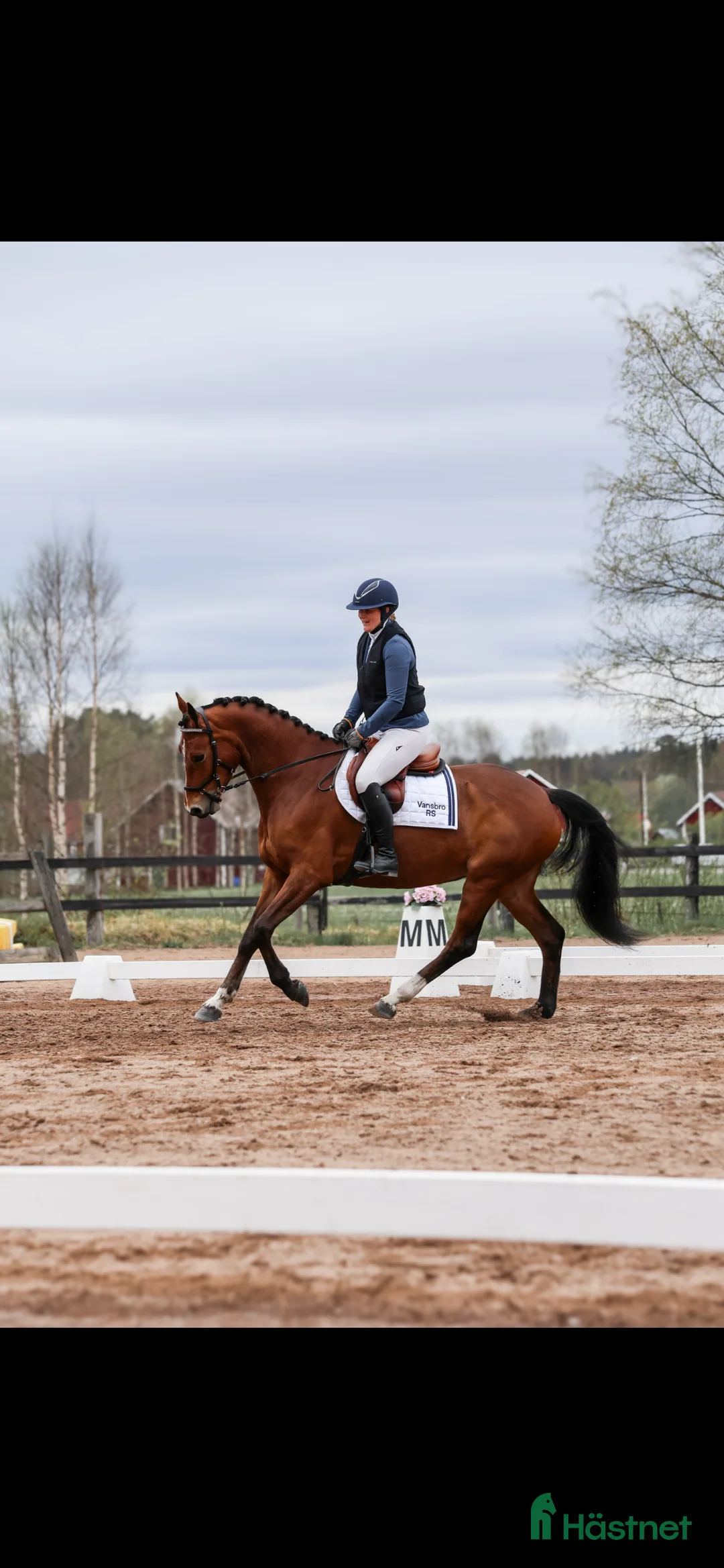 Hoppning hästar till salu: Positiv och uttrycksfull tjej i Dala-järna - Annons 2