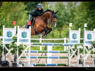 hästar Intressekoll Valack e. Kannan - Annons 2