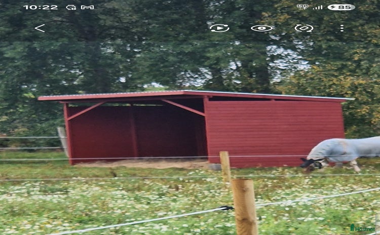 Övrig utrustning övrig utrustning till salu i Mariestad - Annons 17