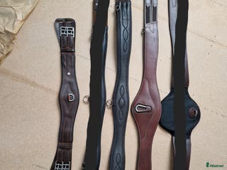 Sadeltillbehör hästutrustning till salu: 2 Hoppgjordar & 1 Dressyrgjord - Annons 10