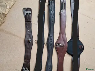 Sadeltillbehör hästutrustning 2 Hoppgjordar & 1 Dressyrgjord - Annons 1