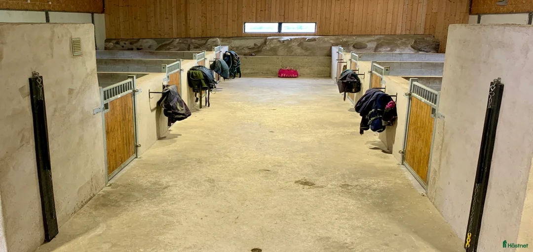 Galleribild {{count}}