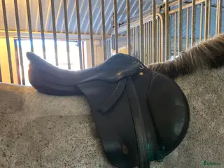 Sadlar hästutrustning Prestige golden star hoppsadel - Annons 4