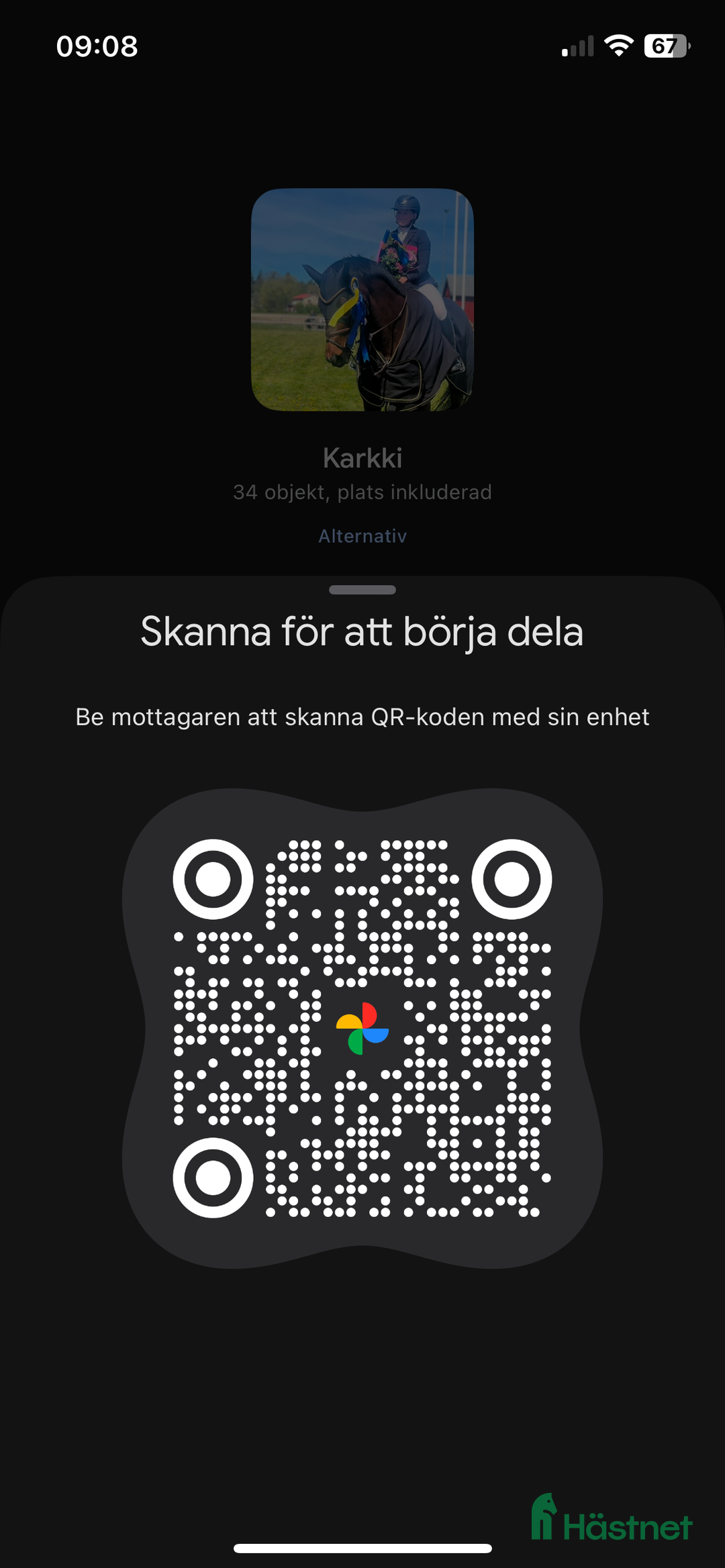 Hoppning hästar till salu: Välriden hopphäst med charmig personlighet i Södra Sandby - Annons 5