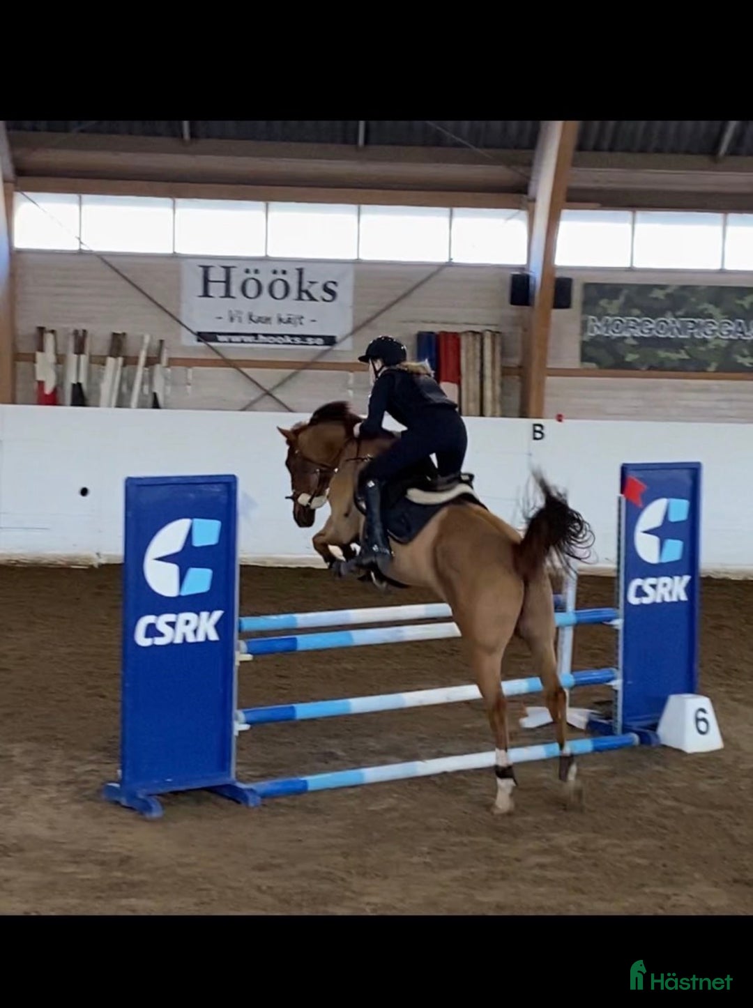 Schabrak & Vojlockar hästutrustning till salu: Jätte fint svart och guldigt hopp schabrak i Nacka - Annons 1