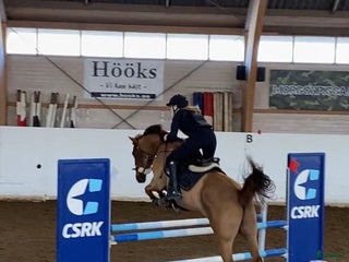 Schabrak & Vojlockar hästutrustning till salu: Jätte fint svart och guldigt hopp schabrak i Nacka - Annons 2