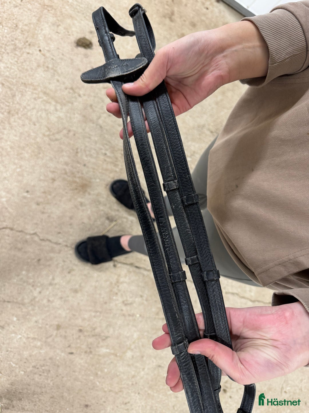 Övrig Hästutrustning hästutrustning till salu: Rensning av hästutrustning  - Annons 22