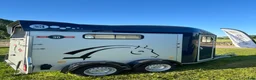 Hästtransporter  fordon & transport till salu: Cheval GOLD3  - Annons 2