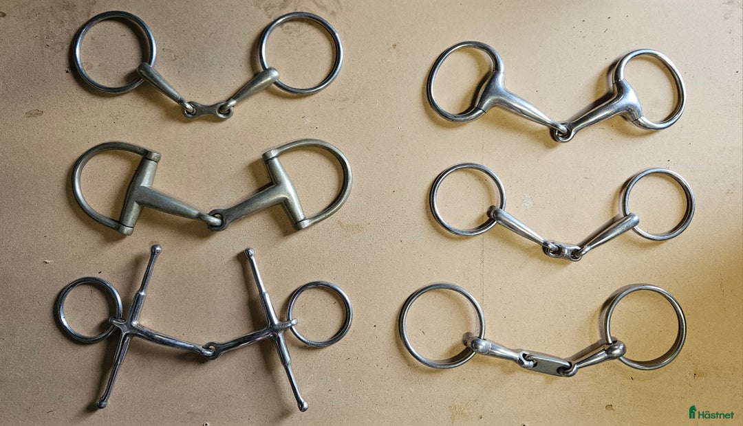 Bett hästutrustning till salu: 6 st bett strl 14cm (2 sprenger) i Hudiksvall - Annons 1