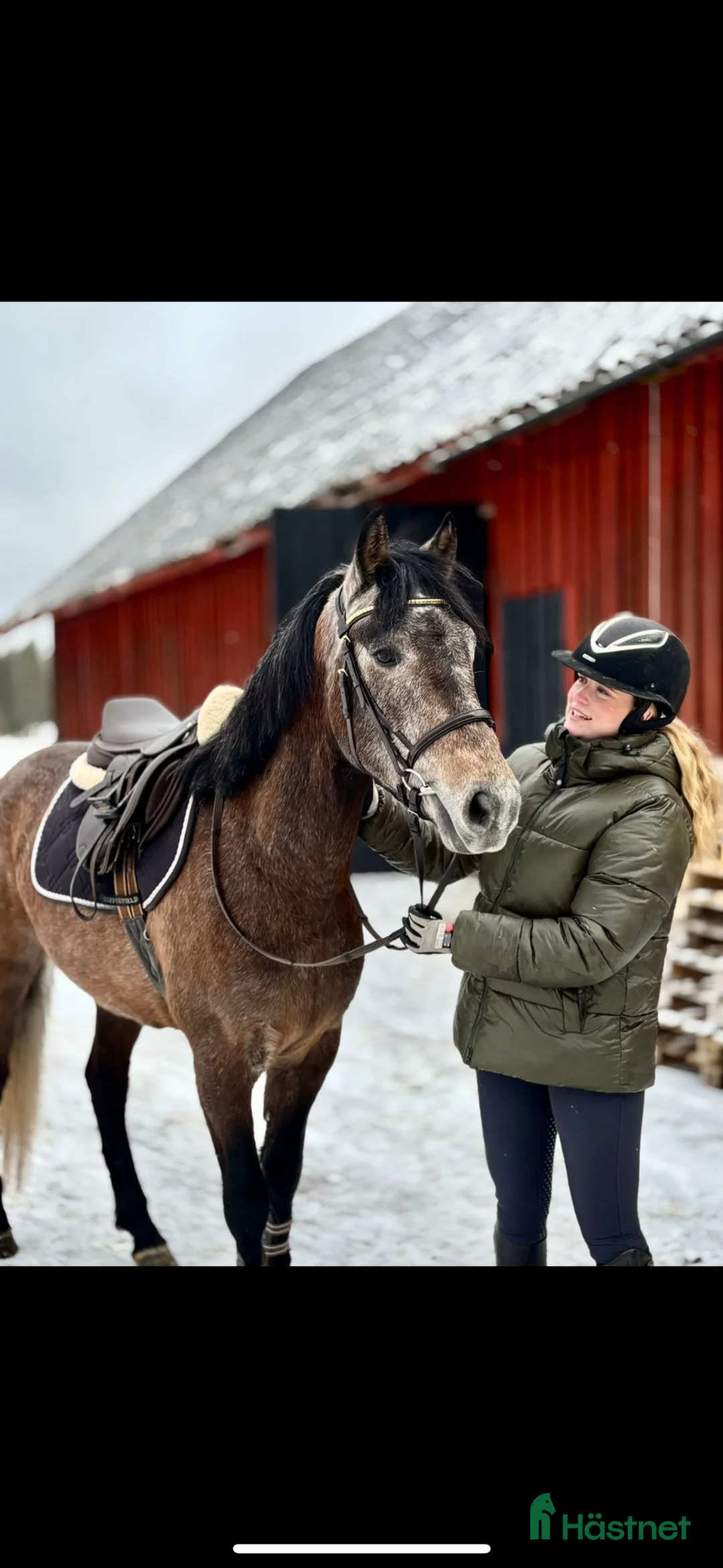 Allround hästar till salu: ❣️Sötaste charmören❣️ - Annons 1