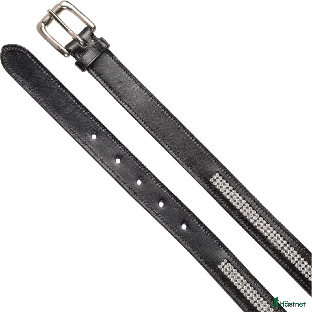 Övrigt Ridkläder ryttarutrustning till salu: Skärp  i Jönköping - Annons 2