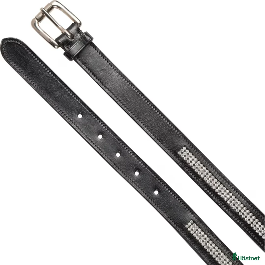 Övrigt Ridkläder ryttarutrustning till salu: Skärp  i Jönköping - Annons 2