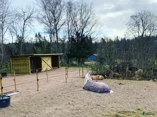 stallplats Boxplats och lösdriftsplats finns ledigt! i Enköping - Annons 2