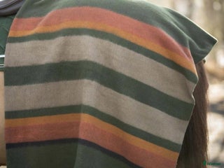 Övrig Hästutrustning hästutrustning till salu: Lippo ullfilt i Täby - Annons 6