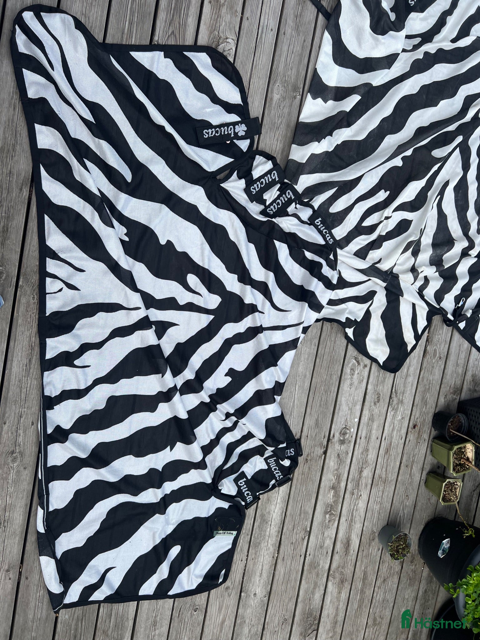 Täcken hästutrustning Bucas Buzz-Off Zebra flugtäcke – XL/155 - Annons 2