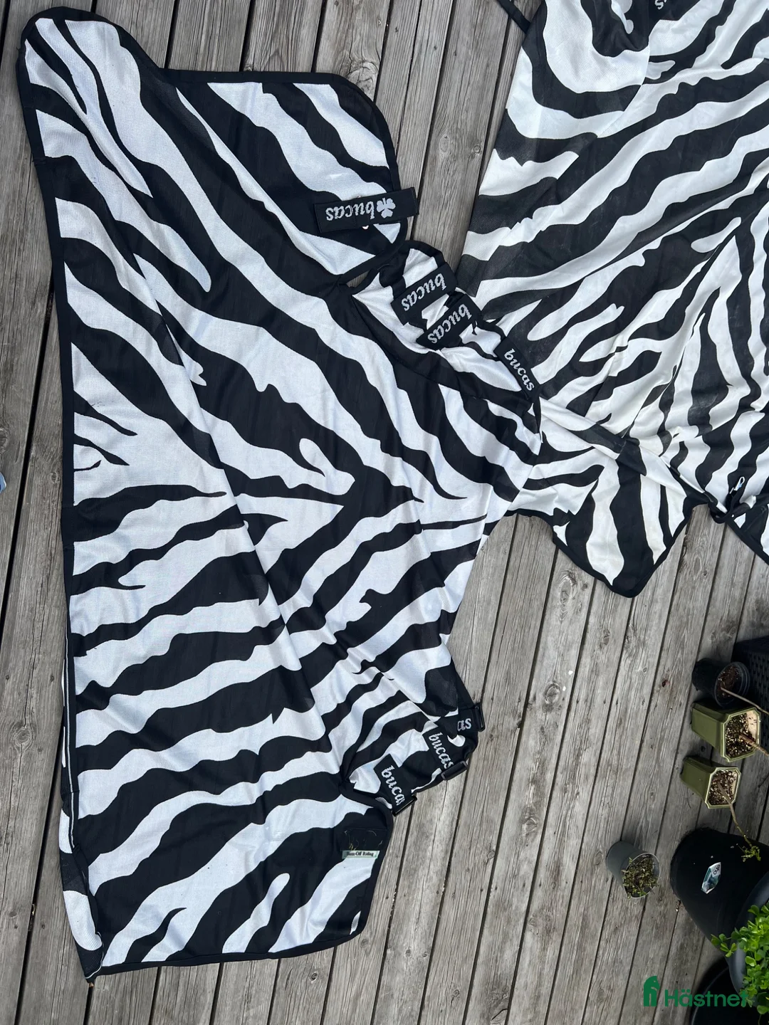 Täcken hästutrustning till salu: Bucas Buzz-Off Zebra flugtäcke – XL/155 - Annons 1