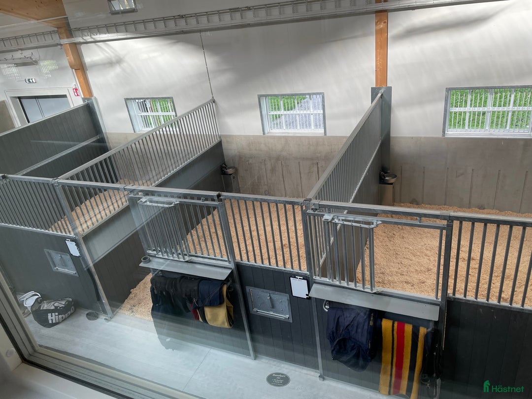  stallplats finnes: Stallplats Marmont Equestrian Center i Vallentuna i Vallentuna - Annons 3