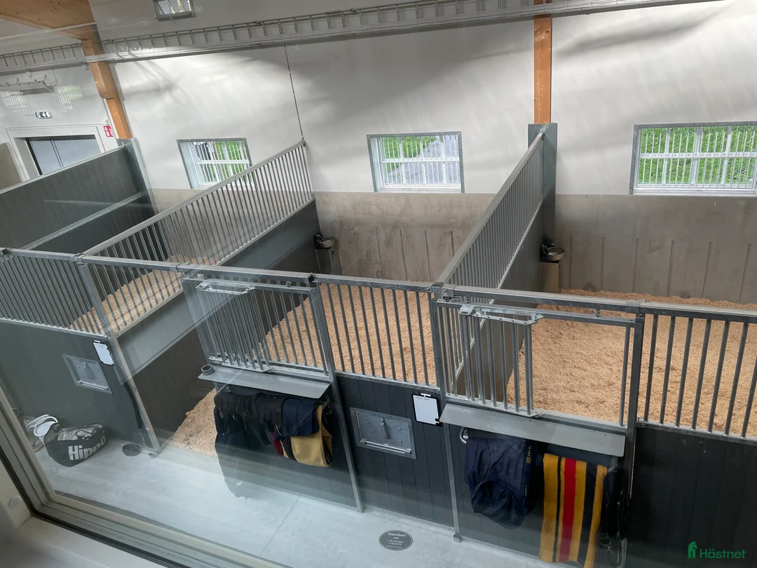  stallplats finnes: Stallplats Marmont Equestrian Center i Vallentuna i Vallentuna - Annons 3