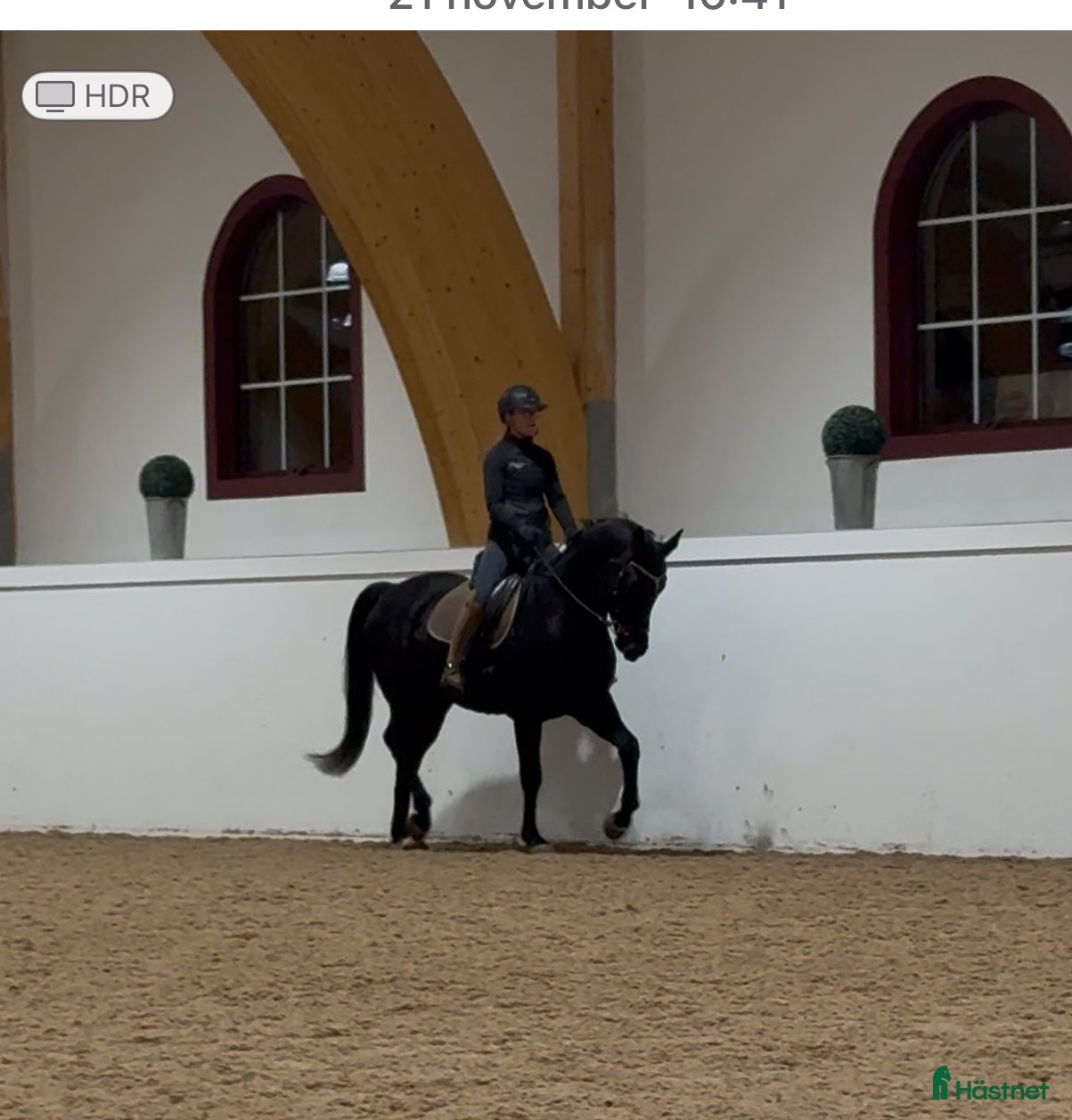  hästar Dressyrstjärnan Bon Jovi DX  i Kullavik - Annons 4