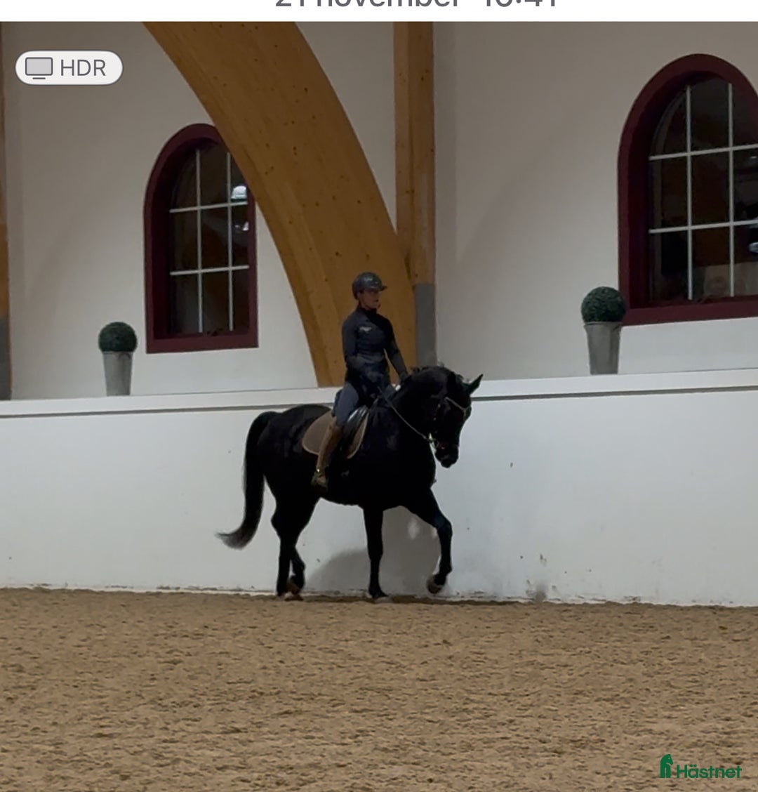 Dressyr hästar till salu: Dressyrstjärnan Bon Jovi DX  i Kullavik - Annons 1