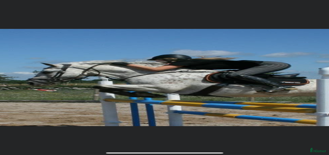 Galleribild {{count}}