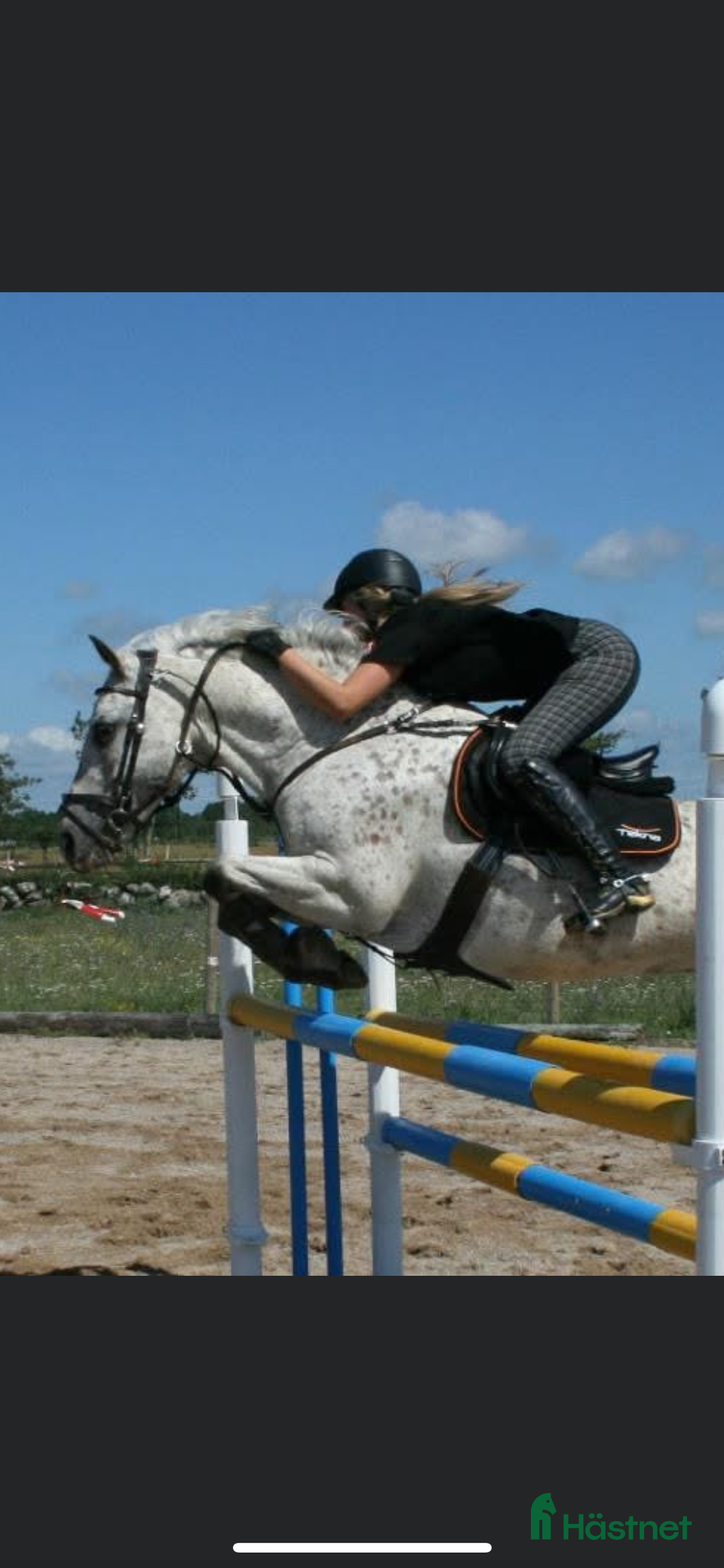 Galleribild {{count}}