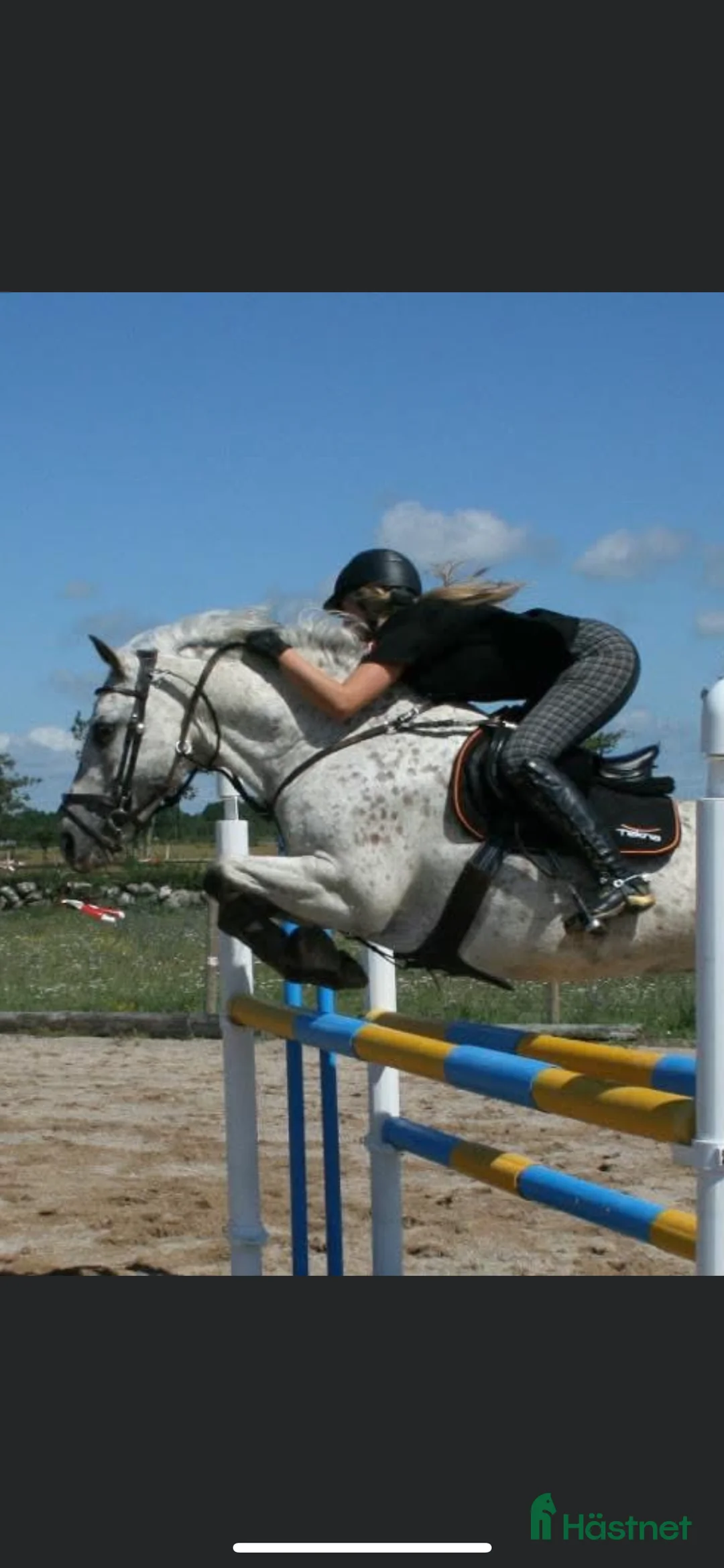 Galleribild {{count}}