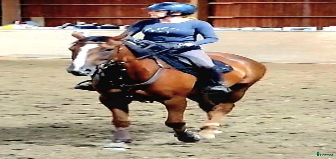 Galleribild {{count}}