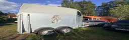Hästtransporter  fordon & transport till salu: Böckmann Champion - Annons 1